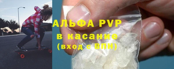 PSILOCYBIN Балахна