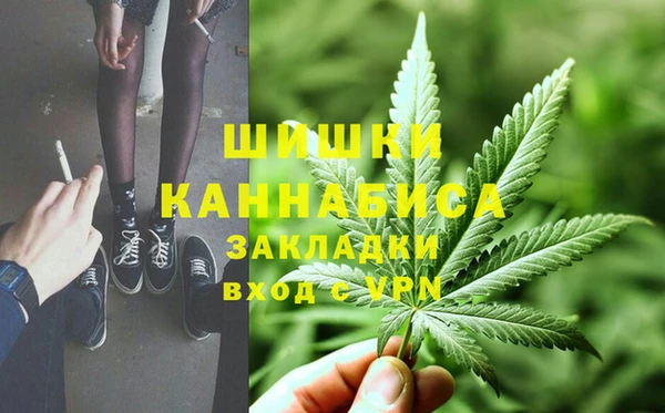 PSILOCYBIN Балахна