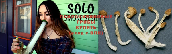 PSILOCYBIN Балахна